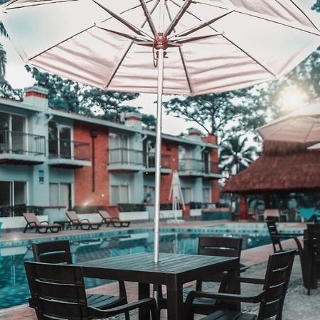 Hotel y Restaurante Mesón del Gitano Caucasia Exterior foto